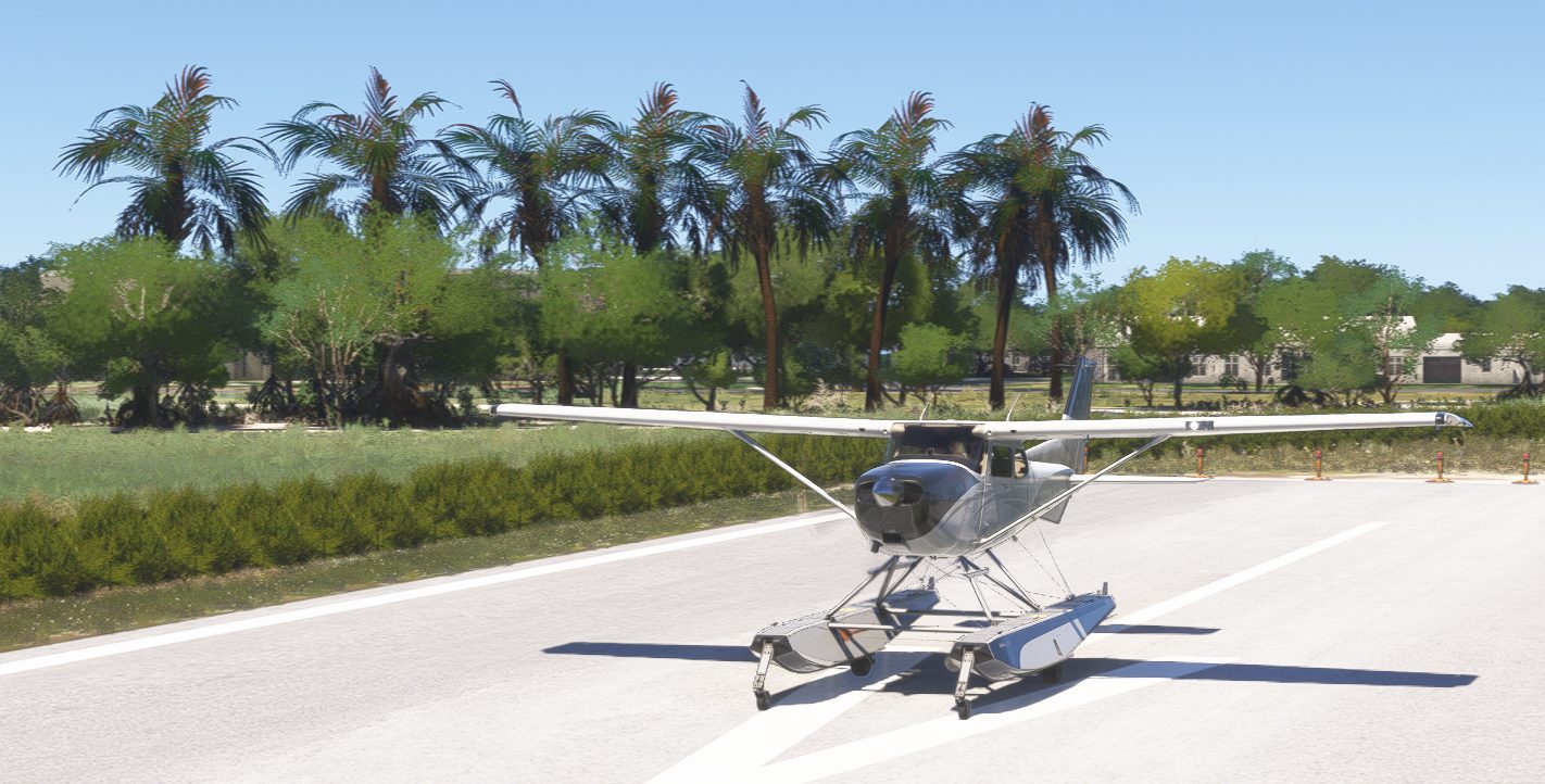 Skitter Creek Field (SCMG1) in Microsoft Flight Simulator 2024